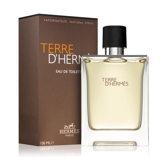 Terre D'Hermes 100ml - Perfume Hut